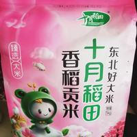 这东北新米香到邻居来敲门🤣十月稻田25年新米封神了！