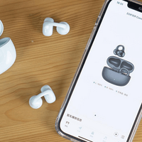 开放式耳机性价比最高的是哪款？2026年十大最好的开放式耳机推荐