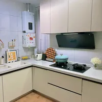 白色油烟机是小户型厨房的颜值担当还是实用之选？1200+用户观点大碰撞