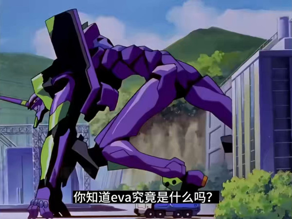 你知道EVA究竟是什么吗？