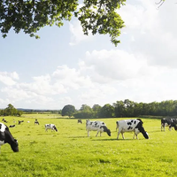 安佳奶粉产地变更，品质还值得信赖吗？1200+用户观点大碰撞