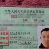 C1驾照驾驶电摩被罚，增驾D证需知条件与流程