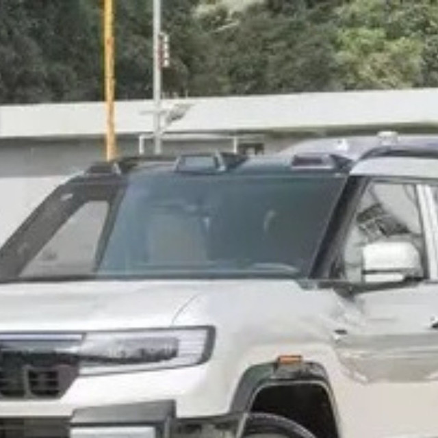 2025年中大型SUV销量榜：自主新能源霸榜，理想L6领跑