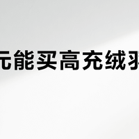 300元能买高充绒羽绒服吗？全网观点大PK