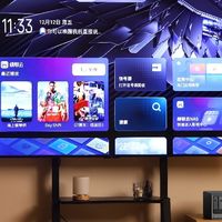 看腻了广告和假4K？绿联DXP4800 Pro+雷鸟鹤6搭建真高清家庭影院