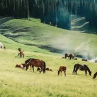 圣诞宅家看片新姿势！华为Vision智慧屏5 SE打造沉浸式影院