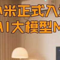 年轻人的第一个大模型！小米MiMo开源首发