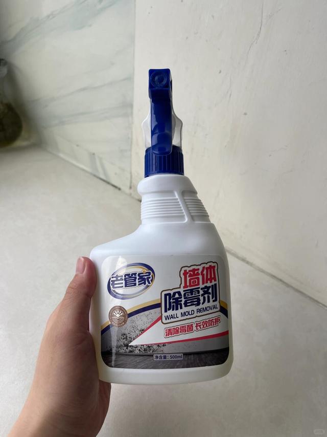 南方墙体发霉的救星！！！