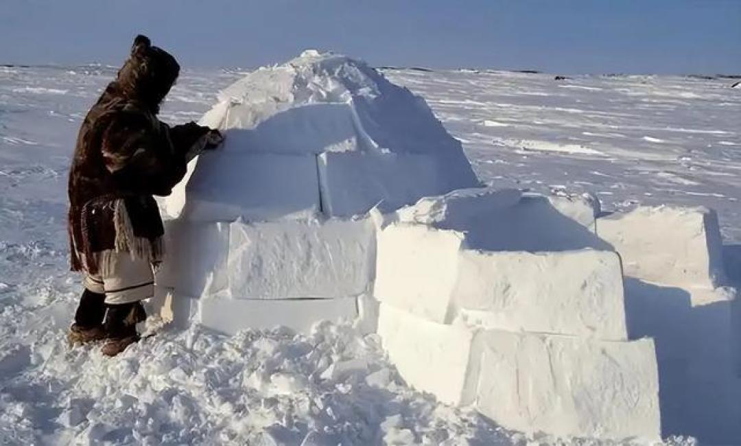 冰屋主理人亲授搭建秘籍：从传统雪屋到夏日宠物冰屋全包括