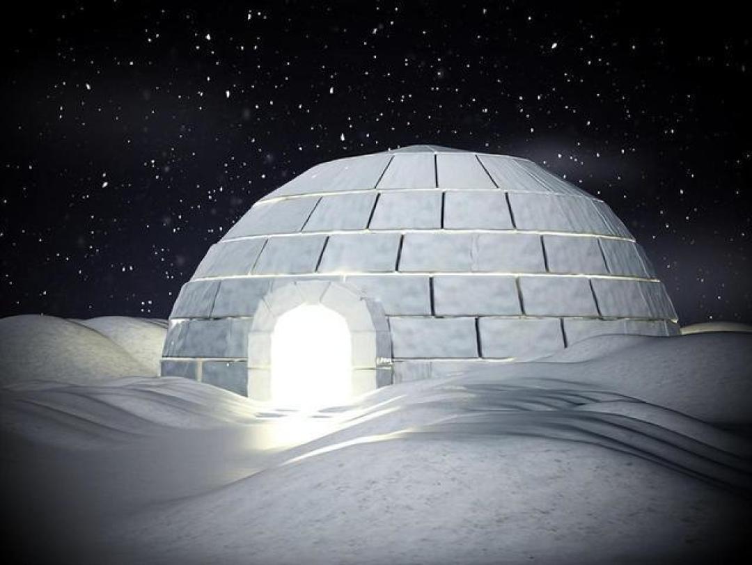 冰屋主理人亲授搭建秘籍：从传统雪屋到夏日宠物冰屋全包括