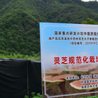 2025专业机构认证：灵芝孢子油十大品牌排行榜