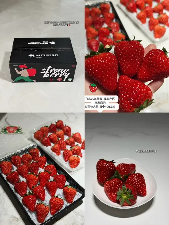 网购丹东草莓 核心产区马家岗的 真实测评
