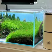 小型桌面鱼缸造景：颜值与实用能否兼得？1000+用户观点大碰撞