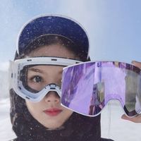 Flow Theory滑雪镜：双层防雾护目镜，让你尽享冰雪乐趣！