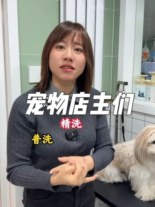 这个视频看完 对于怎么洗，怎么推荐，有没有通顺一点#宠物店 #宠物美容师 #宠物洗澡