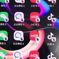 鱼塘最保值骁龙870手机！支持6开应用，网友：开六微？