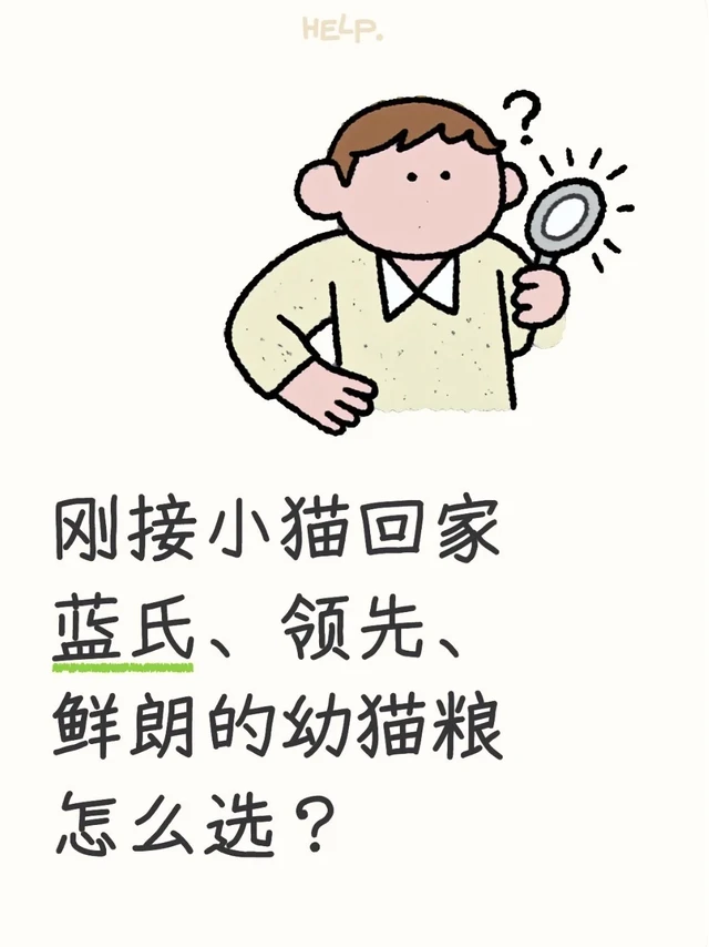 都是幼猫粮，这三款有啥不一样