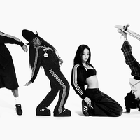 三叶草联名款能代表街头文化吗？1200+用户观点大碰撞