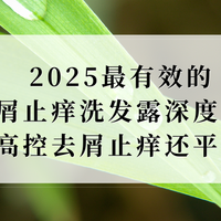 2025最有效的去屑止痒洗发露深度解析！高控去屑止痒还平价