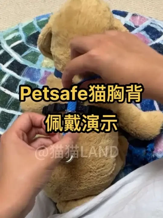 Petsafe贝适安猫咪胸背牵引绳正确佩戴教程 #遛猫 #遛猫日常 #猫咪胸背 #猫咪牵引绳 #猫咪牵引绳防挣脱外出专用