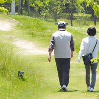 秋冬腿寒星人狂喜！这款护膝 + 2 款平替，暖膝护膝一冬无忧