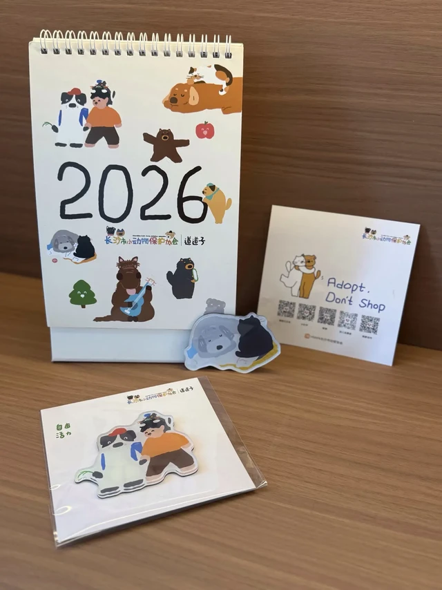 2026公益日历来啦！