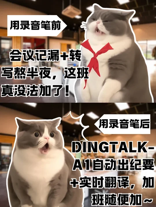 四款AI录音卡：职场适配谁更对味？💼