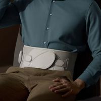 高端腰部按摩器哪个牌子好，学生党友好十大品牌排行榜，性价比高