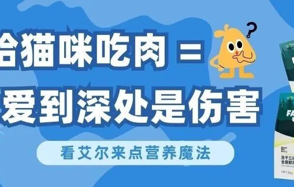 “肉食胃”也需要“蔬菜搭子”？看艾尔加点“营养魔法”