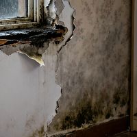 新房入住一个月，竟有这么多隐患！