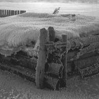 蒙古国北部冰雪奇幻之旅——蒙古国之雪