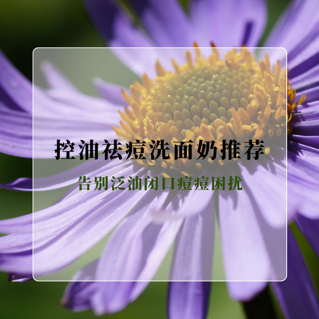 熬夜党油痘肌救星！ 2025控油祛痘洗面奶推荐 告别泛油闭口痘困扰