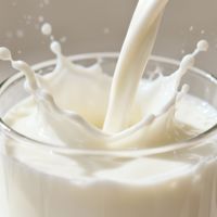 羊奶粉 vs 牛奶粉？128位用户真实体验告诉你答案