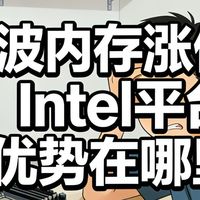 内存涨价榨干预算？Intel才是装机党不认输的底牌！