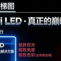 电视导购不敢说的坑！RGB 高色域是伪优势，SQD-MiniLED 才真的香

