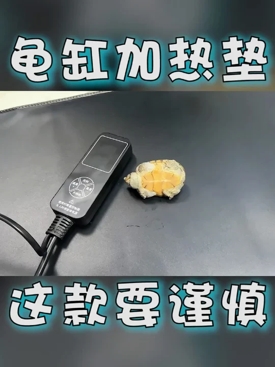乌龟缸加热垫选这款要谨慎