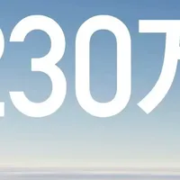 比亚迪智驾狂销31万辆！230万车主每天贡献1.5亿公里，成国民智驾