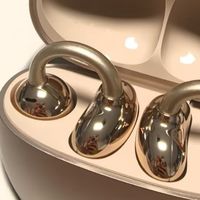 2025好用的耳夹式耳机推荐，这些品牌闭眼入不踩雷