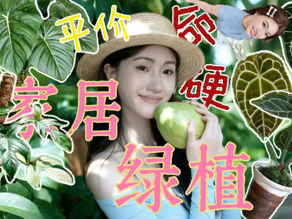 想养一颗命硬颜值高的ins风绿植装扮家？