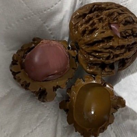 男子盘4年的文玩核桃竟是塑料的，自嘲150元白花：包浆原是氧化层