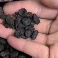 冬日里的“暖茶”，茶香中的岁月沉淀