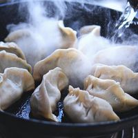 冬至饺子南北寻味记：南方人在北方如何找到家乡味？50+用户观点全景呈现
