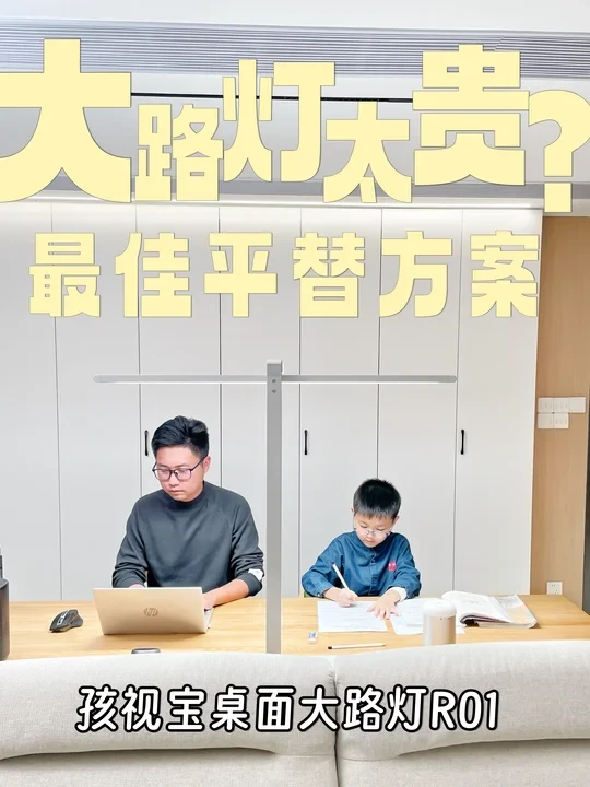 大路灯太贵？最佳平替方案用它！
