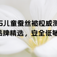 2025儿童蚕丝被权威测评：8大主流品牌精选，安全低敏适配