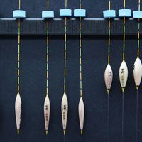 野钓装备极简派vs专业派：轻装真能保证渔获吗？全网观点大碰撞