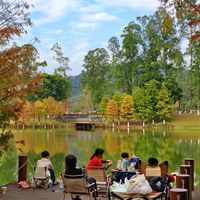 露营 vs 公园大草坪？我们汇总了127位家长的真实遛娃体验