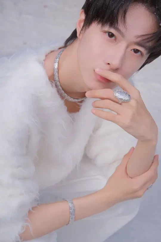 HIVER系列｜白色梦境