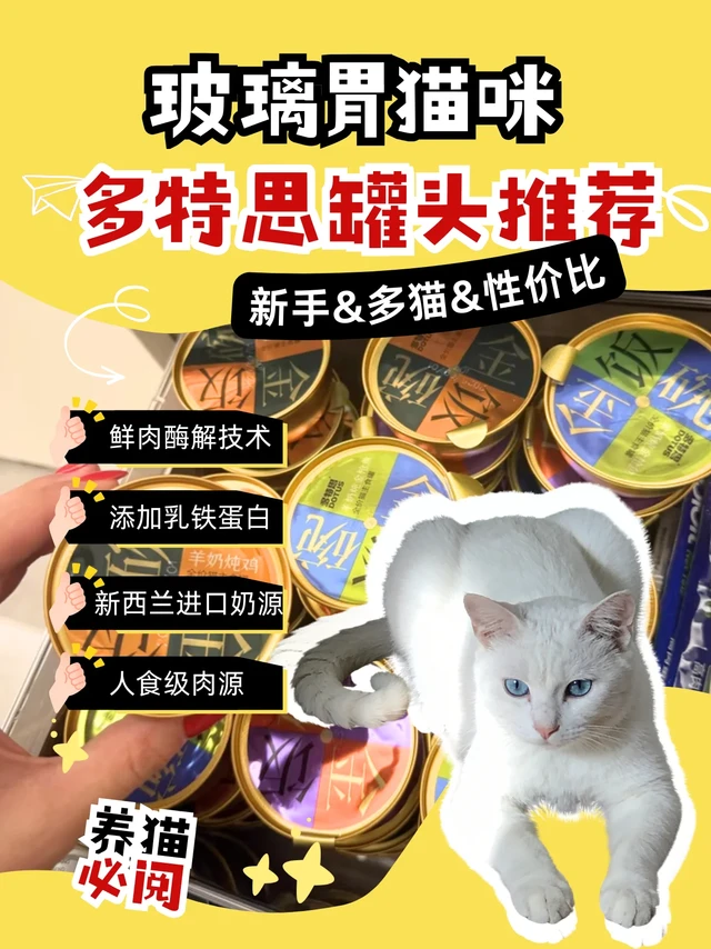 多特思金饭碗真实感受🛍️养宠人千万别错过