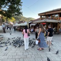 国外旅行用当地语言还是母语更受欢迎？40+用户观点深度拆解