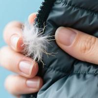 莆田羽绒服 vs 正品羽绒服：保暖与面子的真实较量，1000+用户观点大碰撞